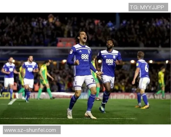 伯明翰与哈德斯对决谁将赢得胜利分析与预测