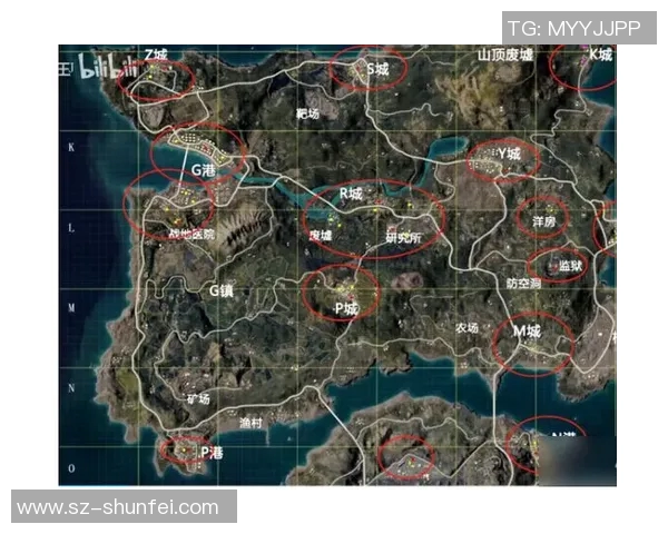 竞技与兵工厂的精彩对决比分揭晓赛季战绩分析与未来展望