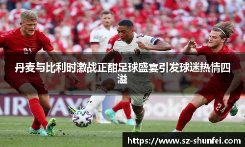 丹麦与比利时激战正酣足球盛宴引发球迷热情四溢